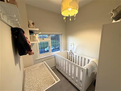 Picture 15